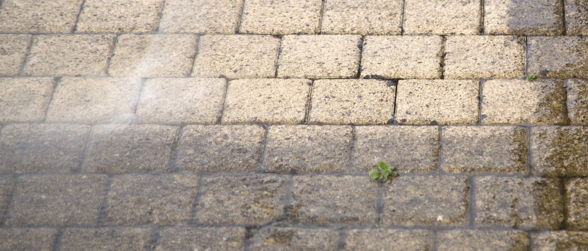 flagging and patios NW11