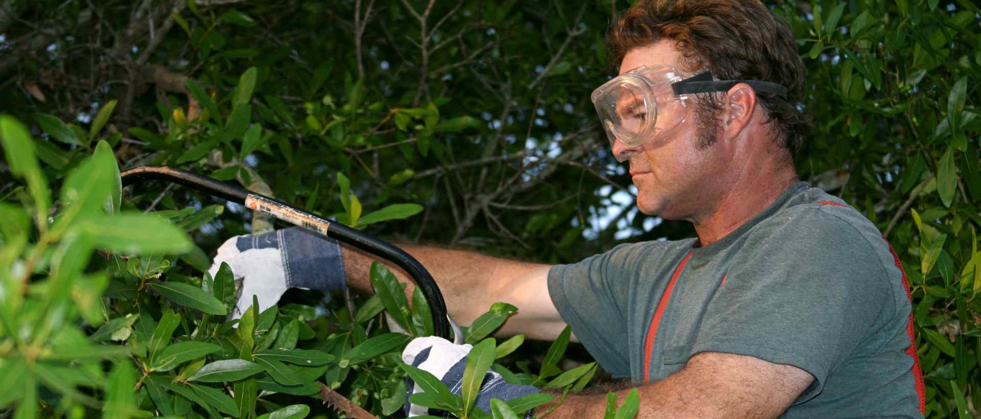 garden clearance NW11